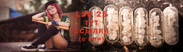 индика Алексеевка